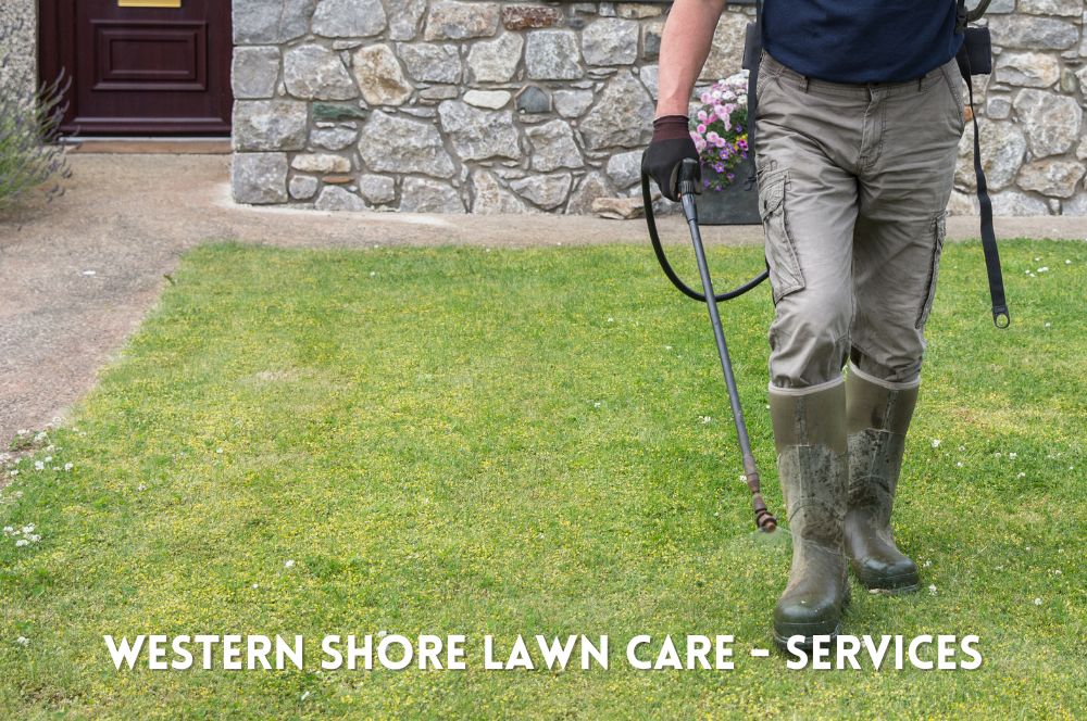 Comprehensive Lawn Care Services