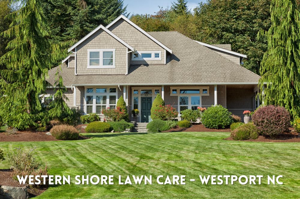 Westport NC Lawn Care Service